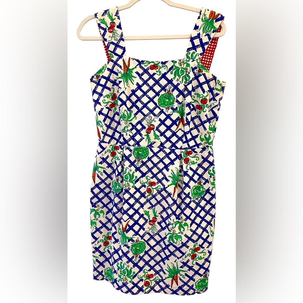 Vintage Lilly Pulitzer Sun Dress.  Holy Grail Rare Find Sz 8